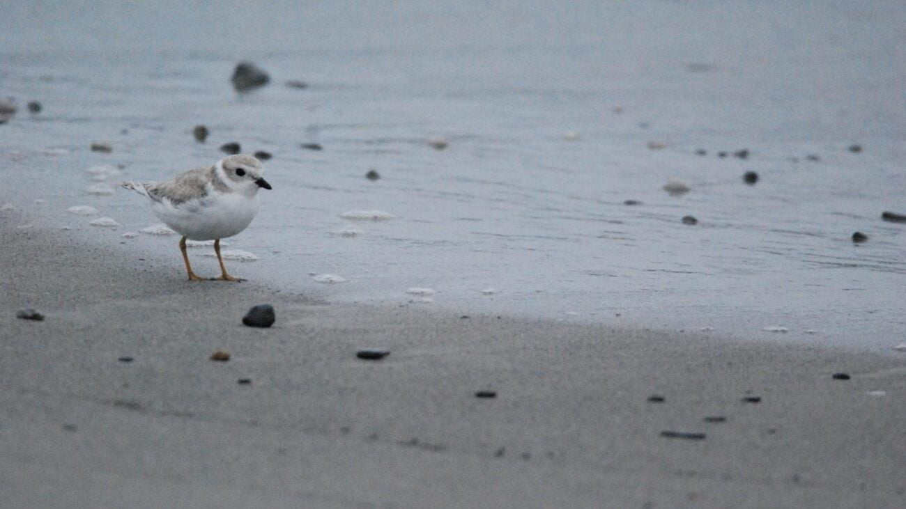 Los Colores Medellín: Cuidados Geriátricos que Resaltan la Vitalidad de la Tercera Edad