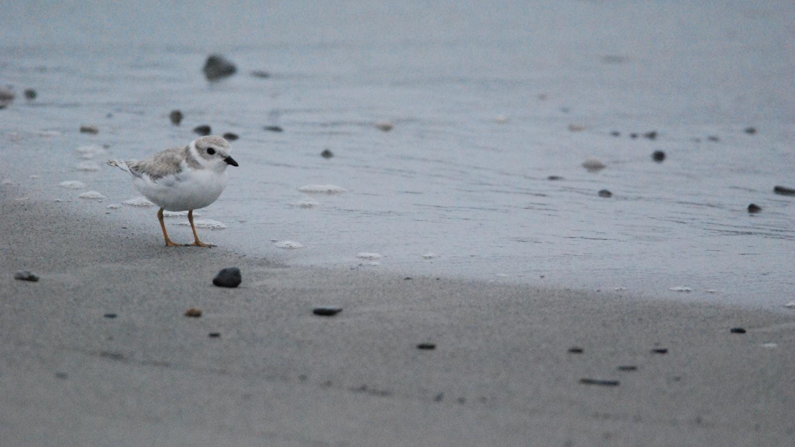 Los Colores Medellín: Cuidados Geriátricos que Resaltan la Vitalidad de la Tercera Edad
