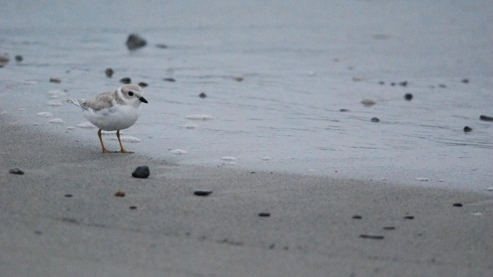Los Colores Medellín: Cuidados Geriátricos que Resaltan la Vitalidad de la Tercera Edad