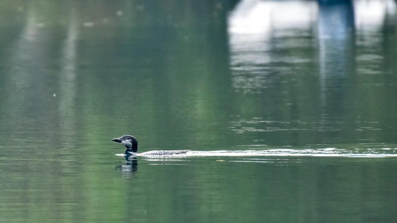 Lugares para Personas con Alzheimer Medellín: Atención Especializada y Respetuosa