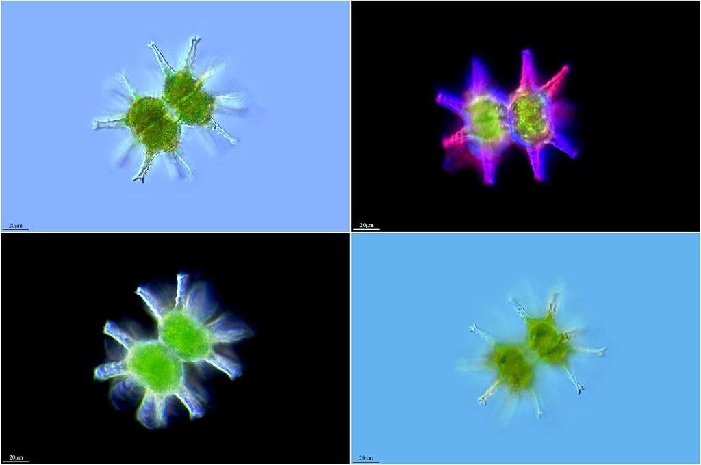 Vistas excepcionales que mejoran la calidad de vida de los residentes