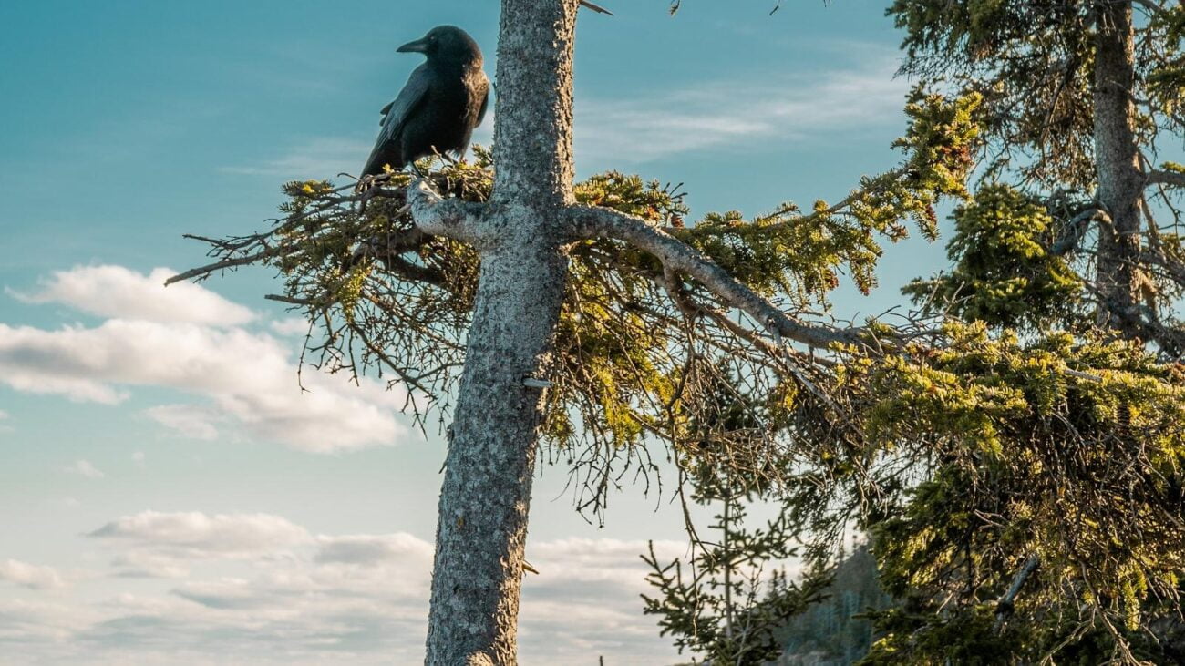 Cuarta Brigada Medellín: Donde la Experiencia de Vida se Convierte en Atención Geriátrica Apacible