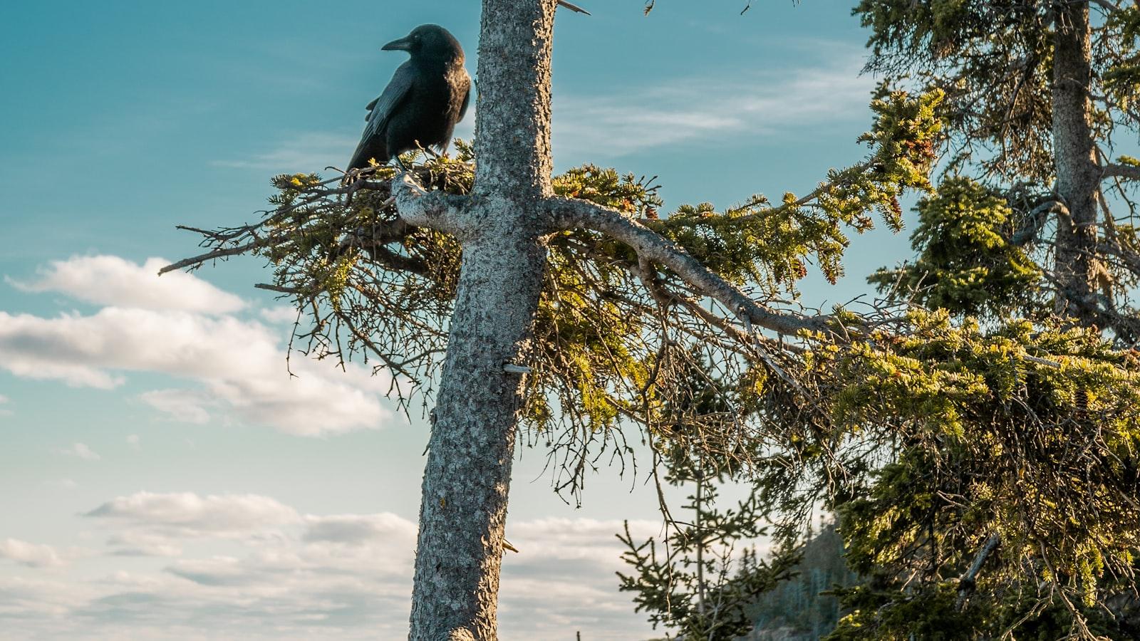 Cuarta Brigada Medellín: Donde la Experiencia de Vida se Convierte en Atención Geriátrica Apacible