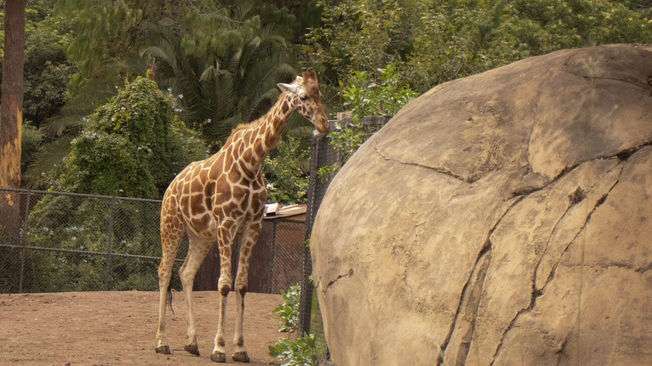 Caminando hacia la Felicidad en Cuarta Brigada Medellín: Hogar Geriátrico de Atención Sosegada