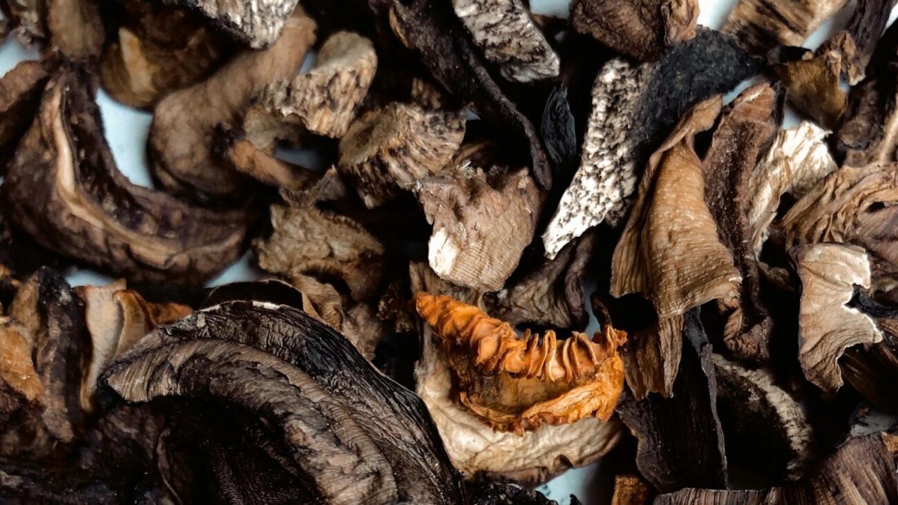 Adulto Mayor Medellin: Encuentra Cuidado y Compañía en Espacios Especializados