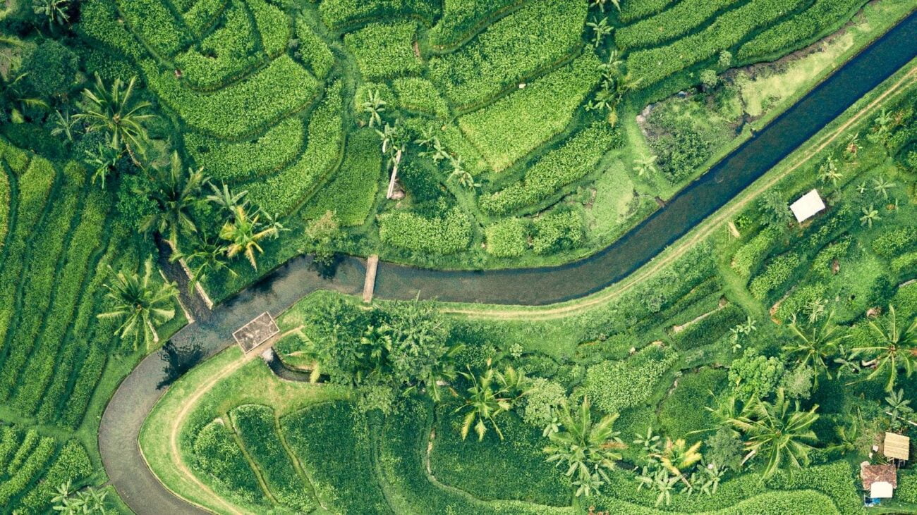 Viviendo con Dignidad en Ferrini Medellín: Cuidados Geriátricos que Respetan tu Tranquilidad
