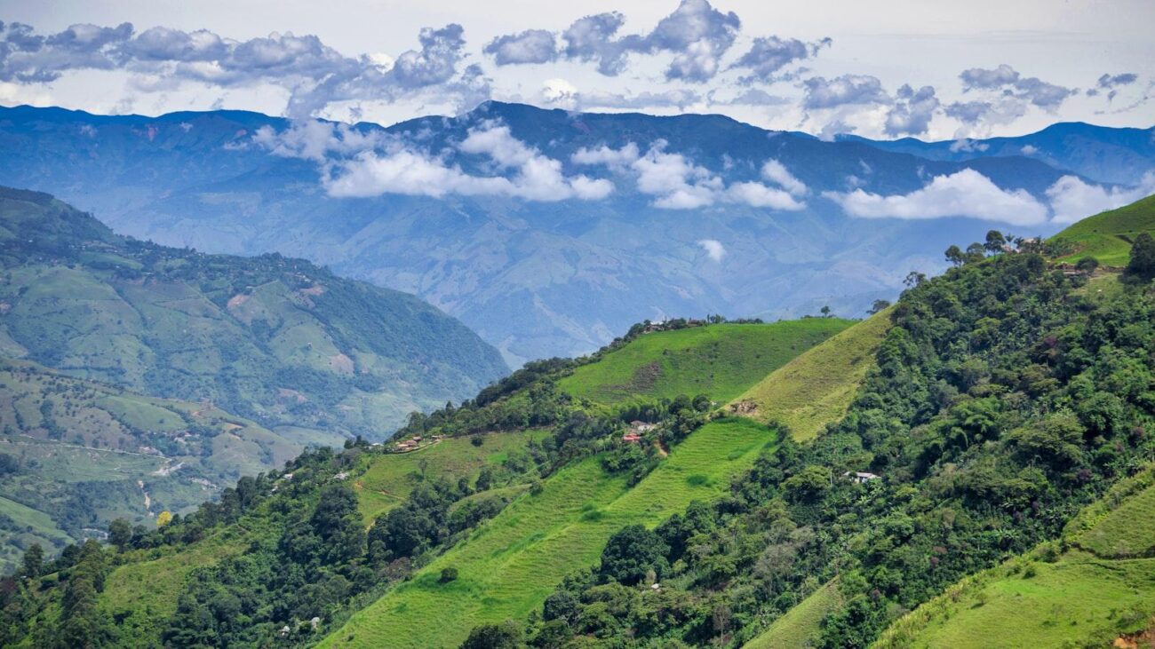 Casa Hogar Medellin: Donde Cada Día es una Celebración de la Vida