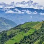 Casa Hogar Medellin: Donde Cada Día es una Celebración de la Vida