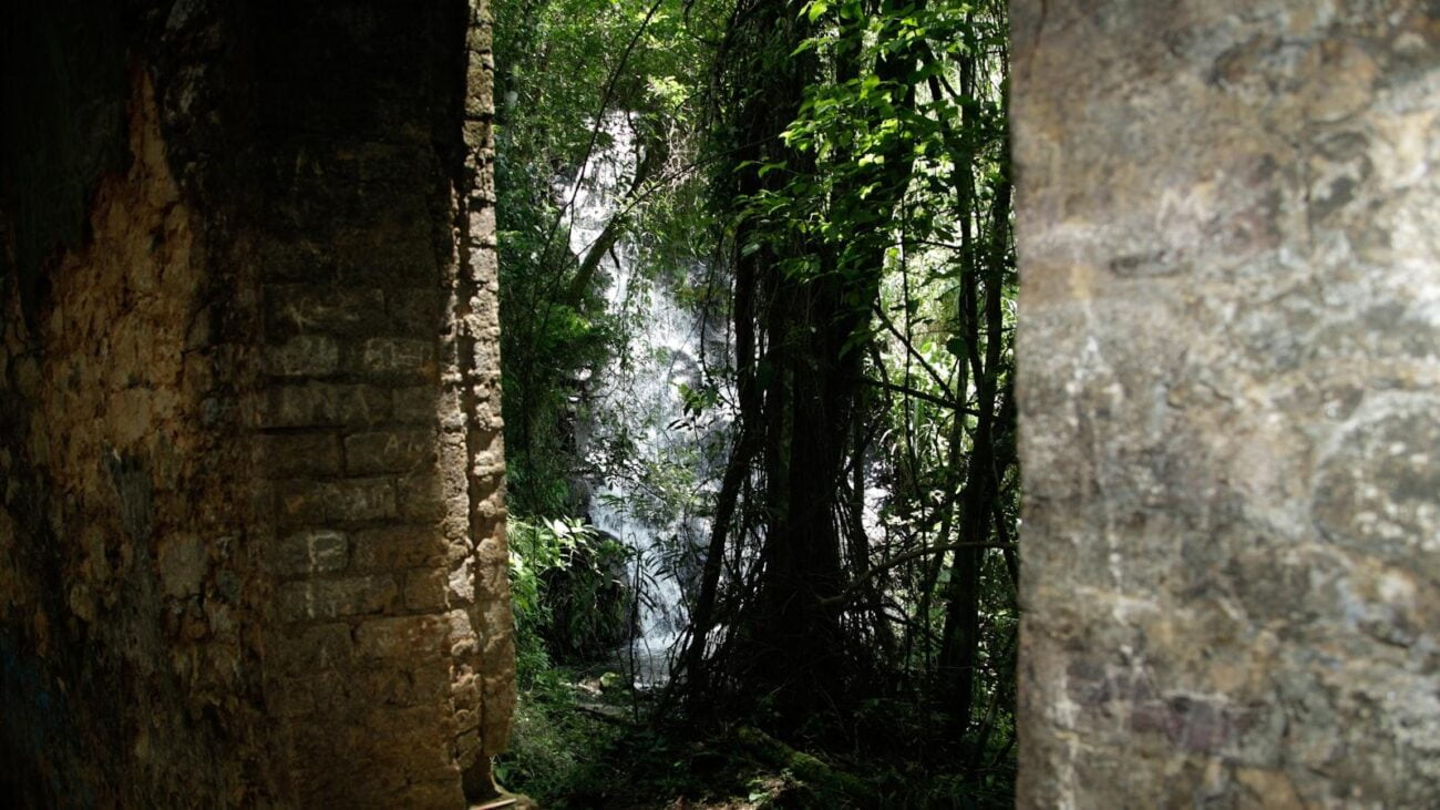 Hogares para Adultos Mayores Medellín: Espacios que Respetan tu Autonomía