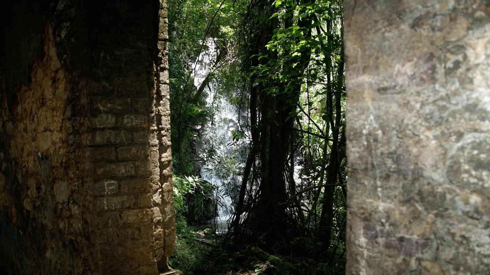 Hogares para Adultos Mayores Medellín: Espacios que Respetan tu Autonomía