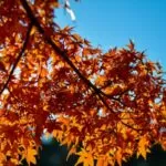 Viviendo con Dignidad y Vistas Panorámicas en La Asomadera Nº 1 Medellín