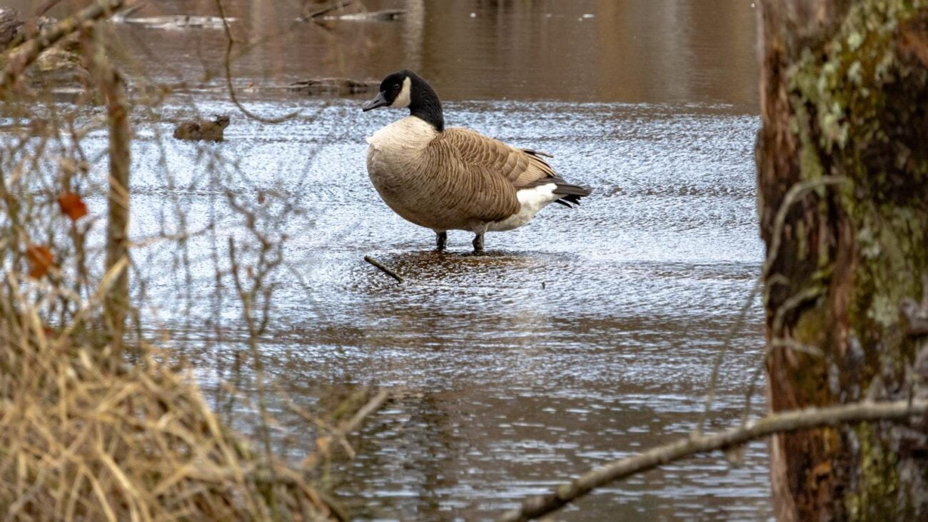Corazón de Jesús Medellín: Cuidados de Salud con Amor y Atención Personalizada