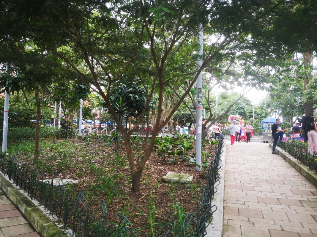 La Floresta Medellín: Cuidados Geriátricos que Resaltan la Tranquilidad de la Tercera Edad