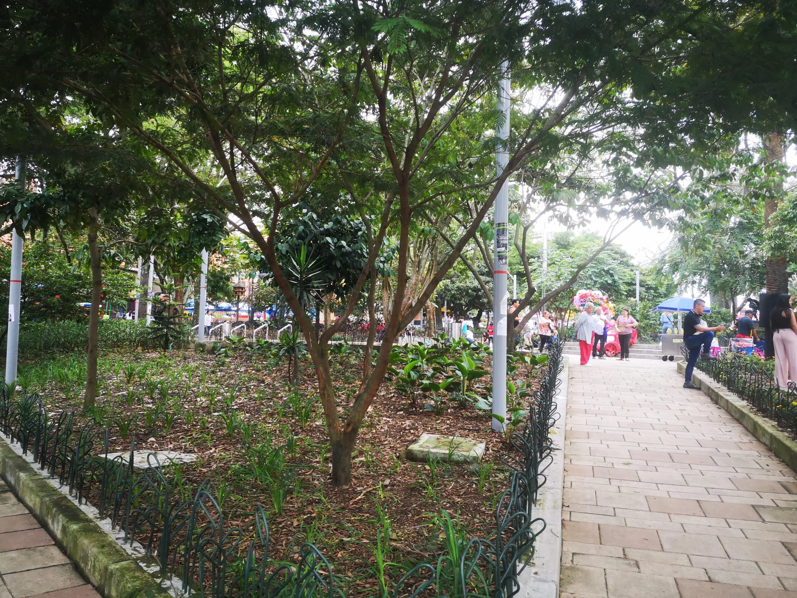 La Floresta Medellín: Cuidados Geriátricos que Resaltan la Tranquilidad de la Tercera Edad