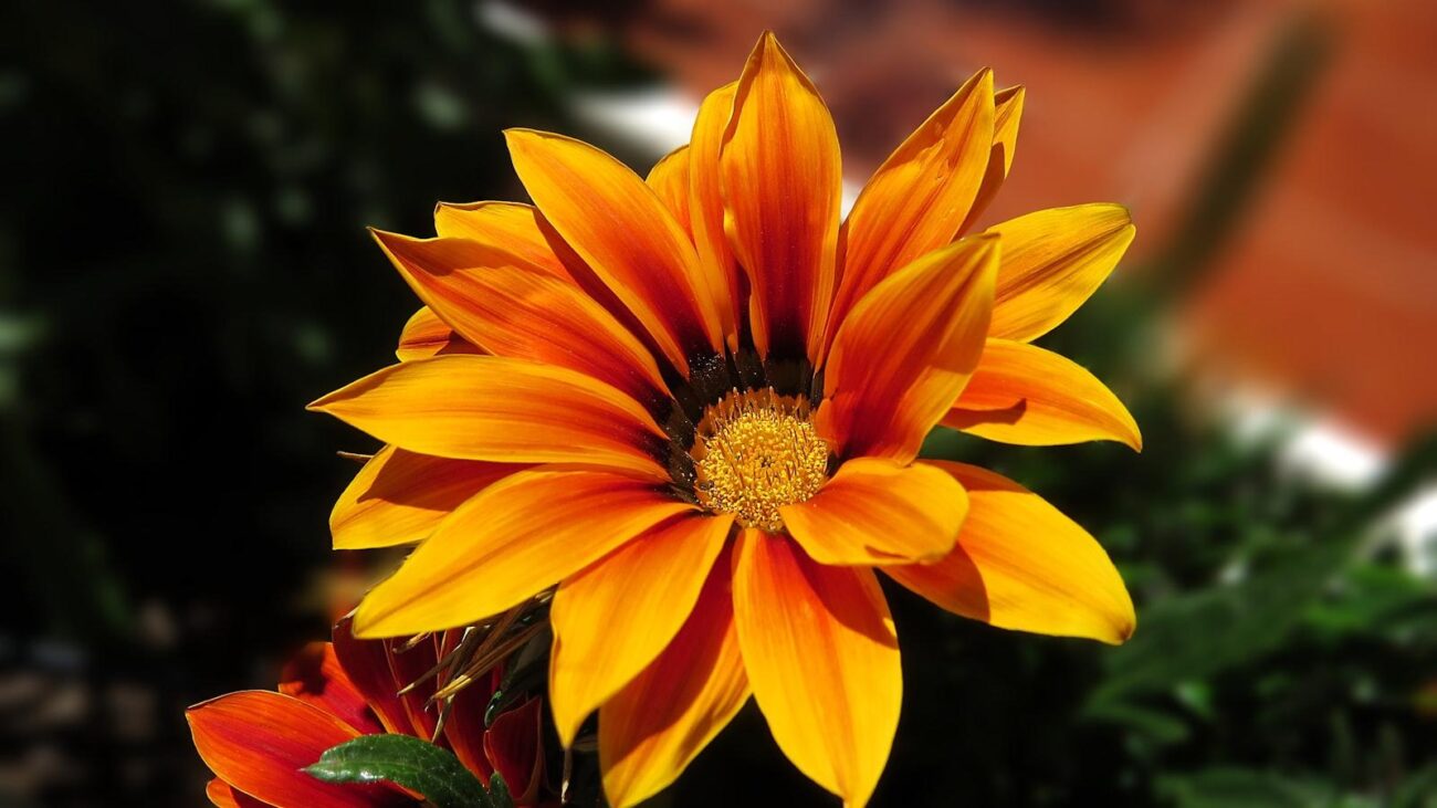 Caminando hacia la Felicidad en La Floresta Medellín: Hogar Geriátrico de Atención Sosegada