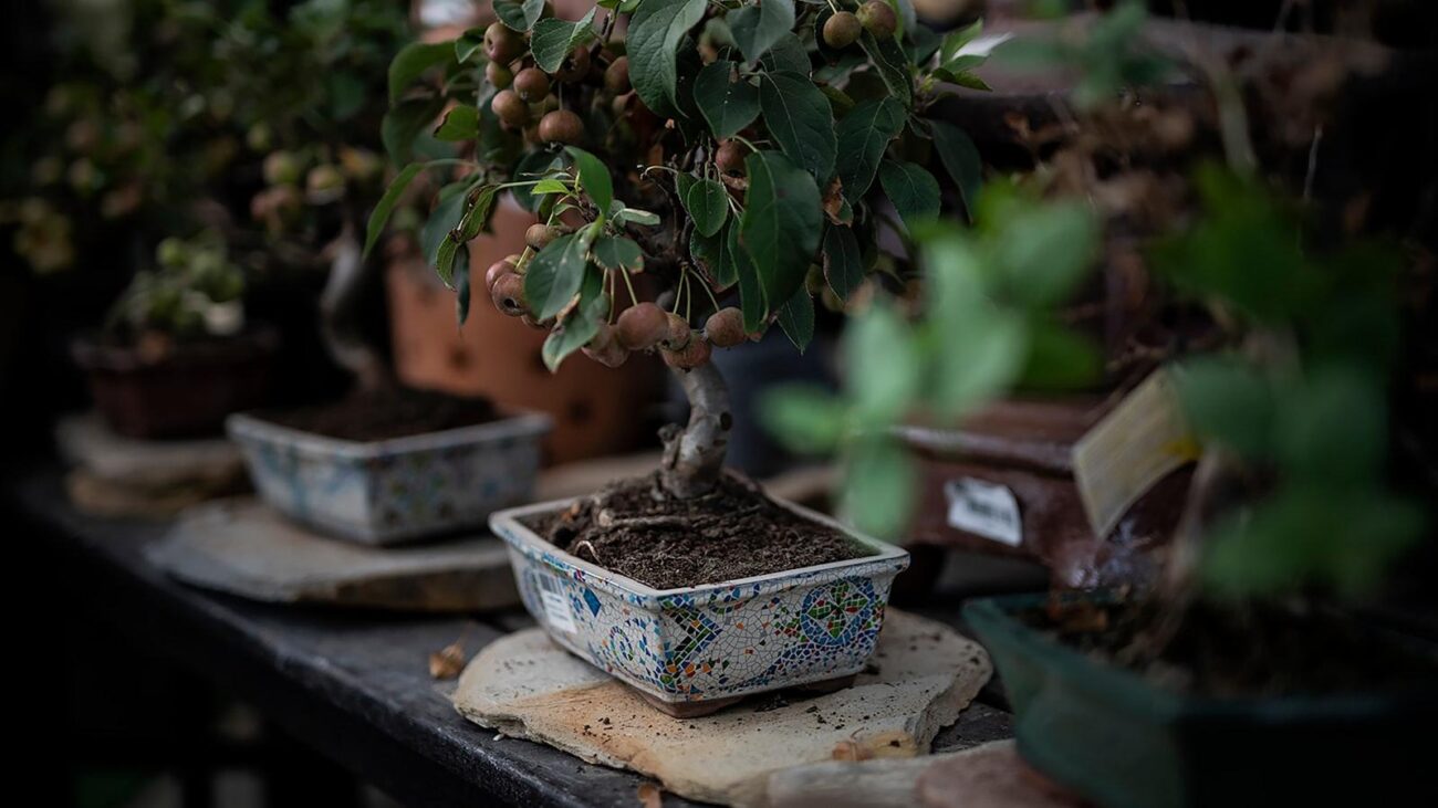 Hogar Geriátrico Sonríe a la Vida Belén Medellín: Cuidado con Amor y Compromiso