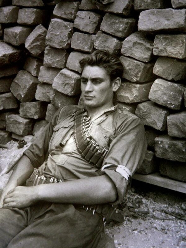 Los Pinos Medellín: Donde la Experiencia de Vida se Convierte en Atención Geriátrica Natural