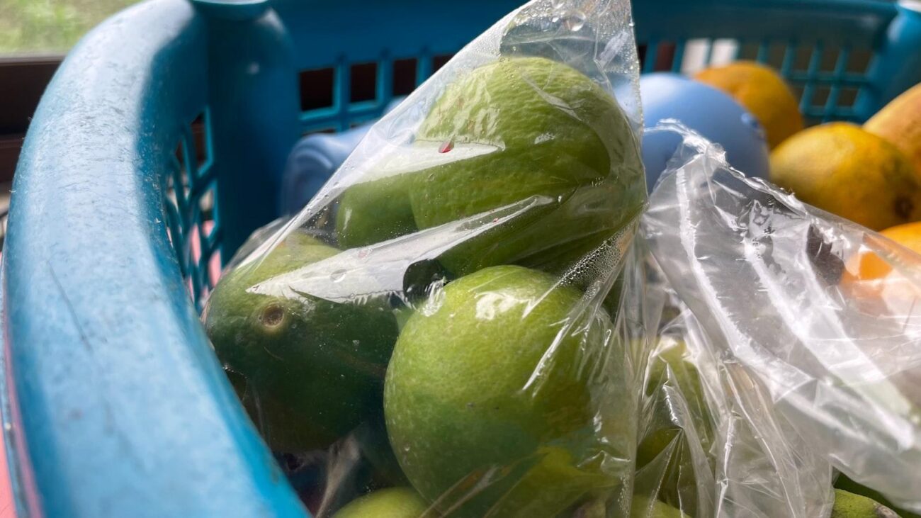 Casa de Recuperación Post Quirúrgica Medellin: Cuidado Especializado en la Recuperación