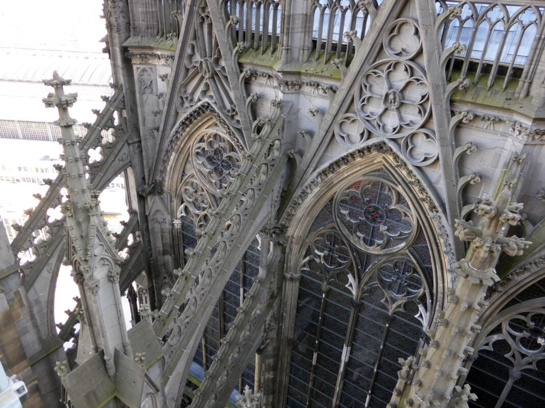 Los Cerezos Medellin: Encuentra Tranquilidad y Compañía en Espacios Especializados