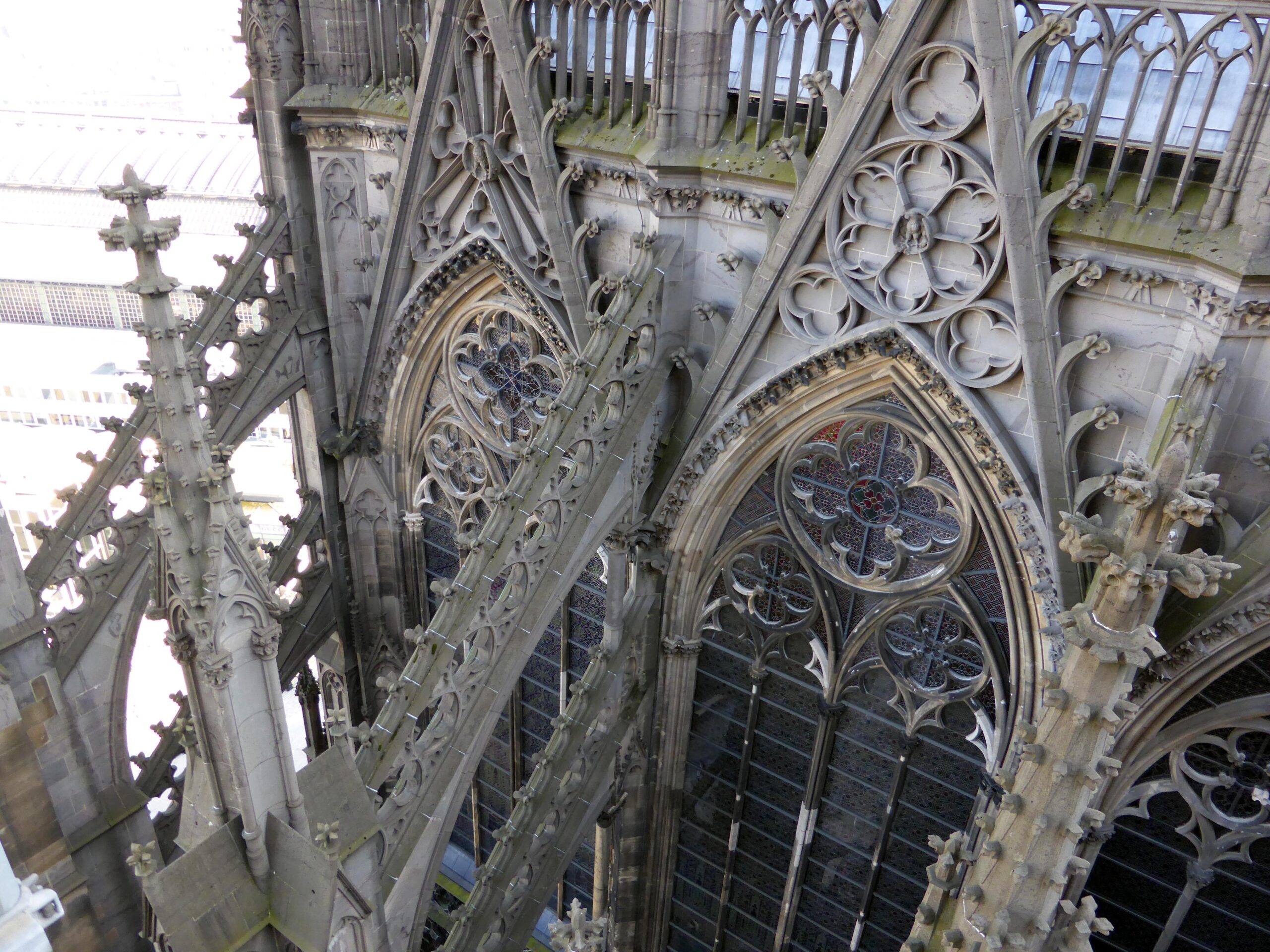 Los Cerezos Medellin: Encuentra Tranquilidad y Compañía en Espacios Especializados