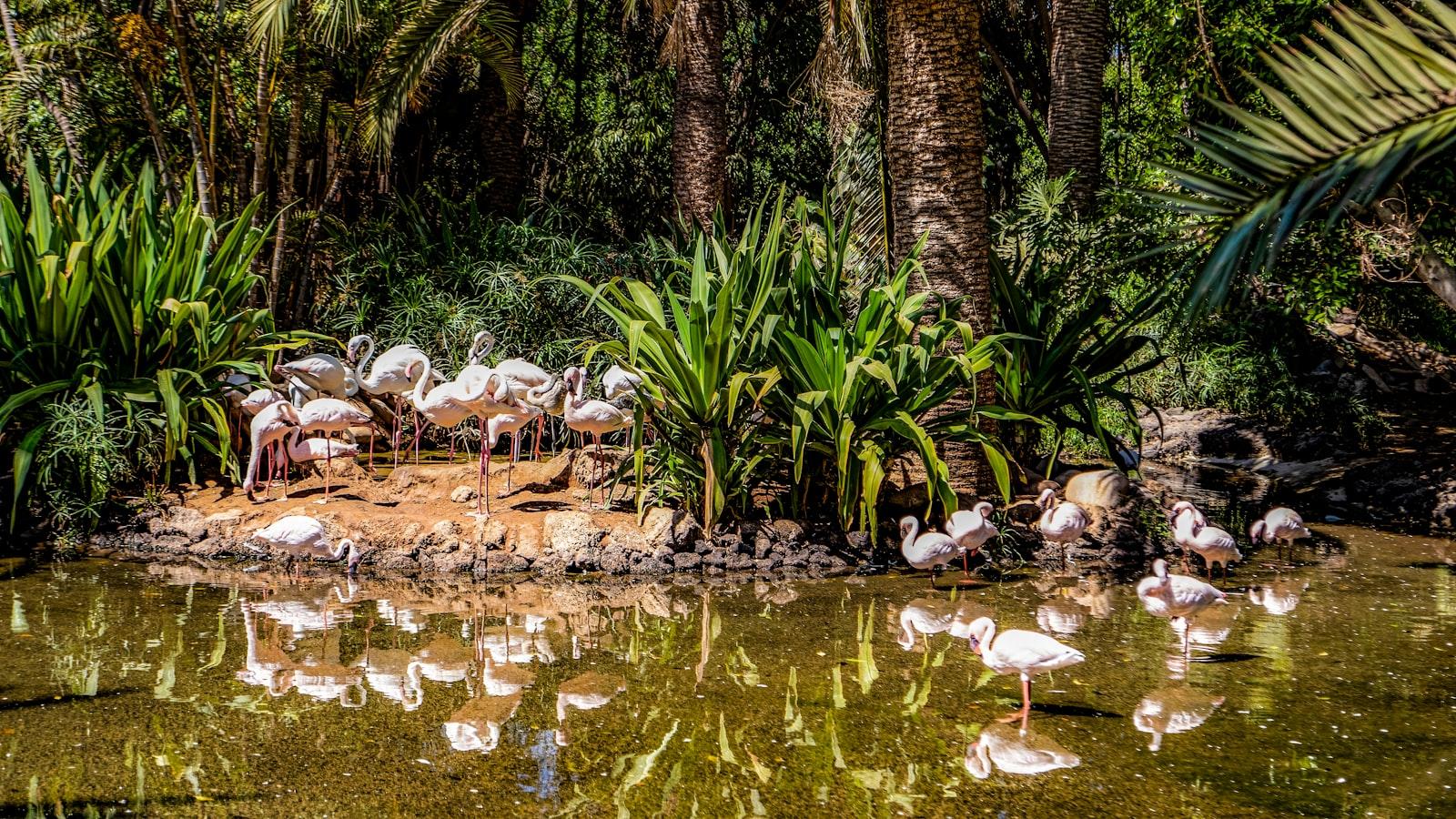 Senior Club Medellin: Espacios para Compartir y Disfrutar en la Tercera Edad