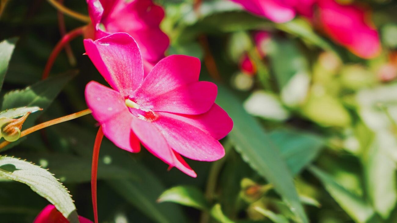 Fisioterapia Medellin: Cuida de tu Bienestar Físico con Profesionales Especializados