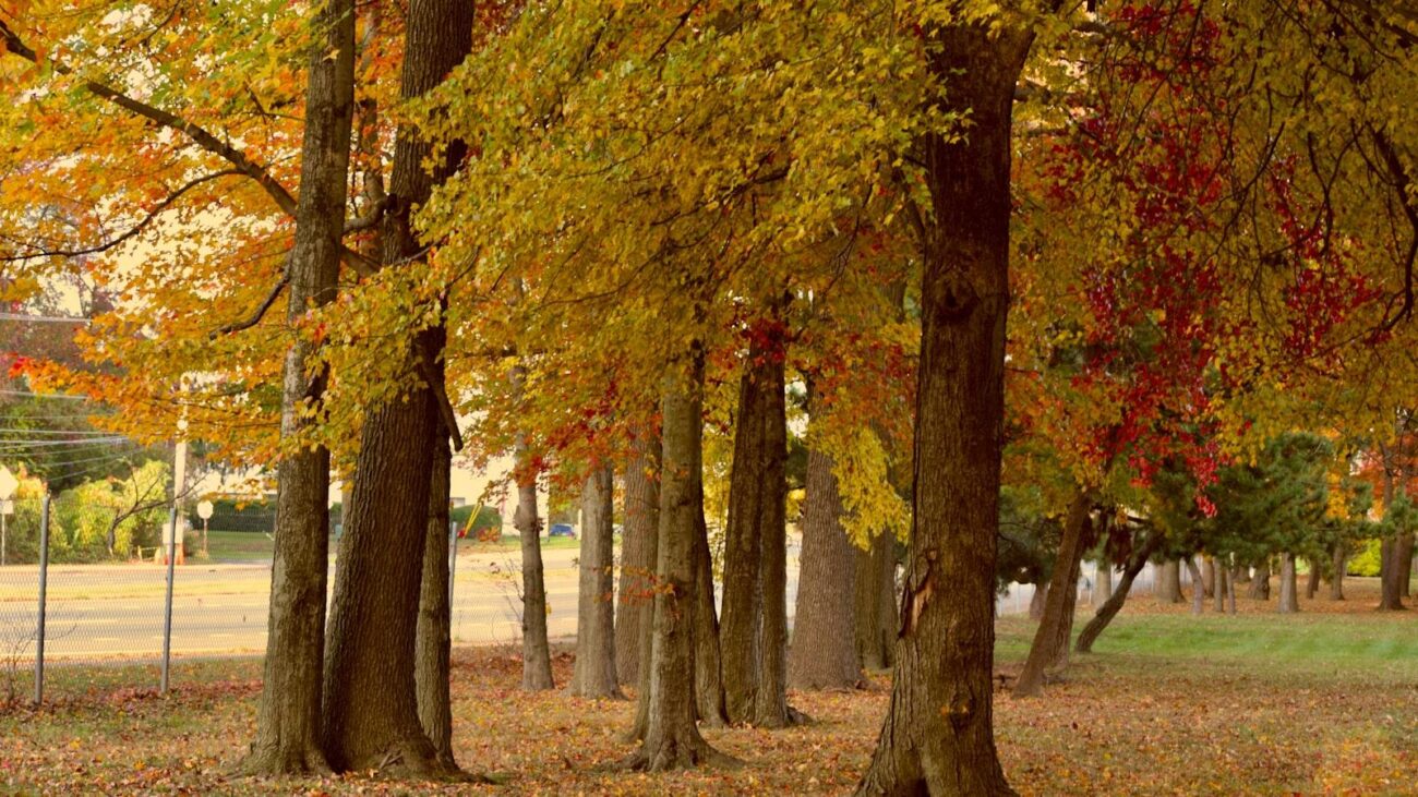 Habitat Hogar Geriatrico Medellin La Estrella: Cuida de tu Bienestar en un Ambiente Familiar