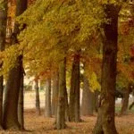 Habitat Hogar Geriatrico Medellin La Estrella: Cuida de tu Bienestar en un Ambiente Familiar