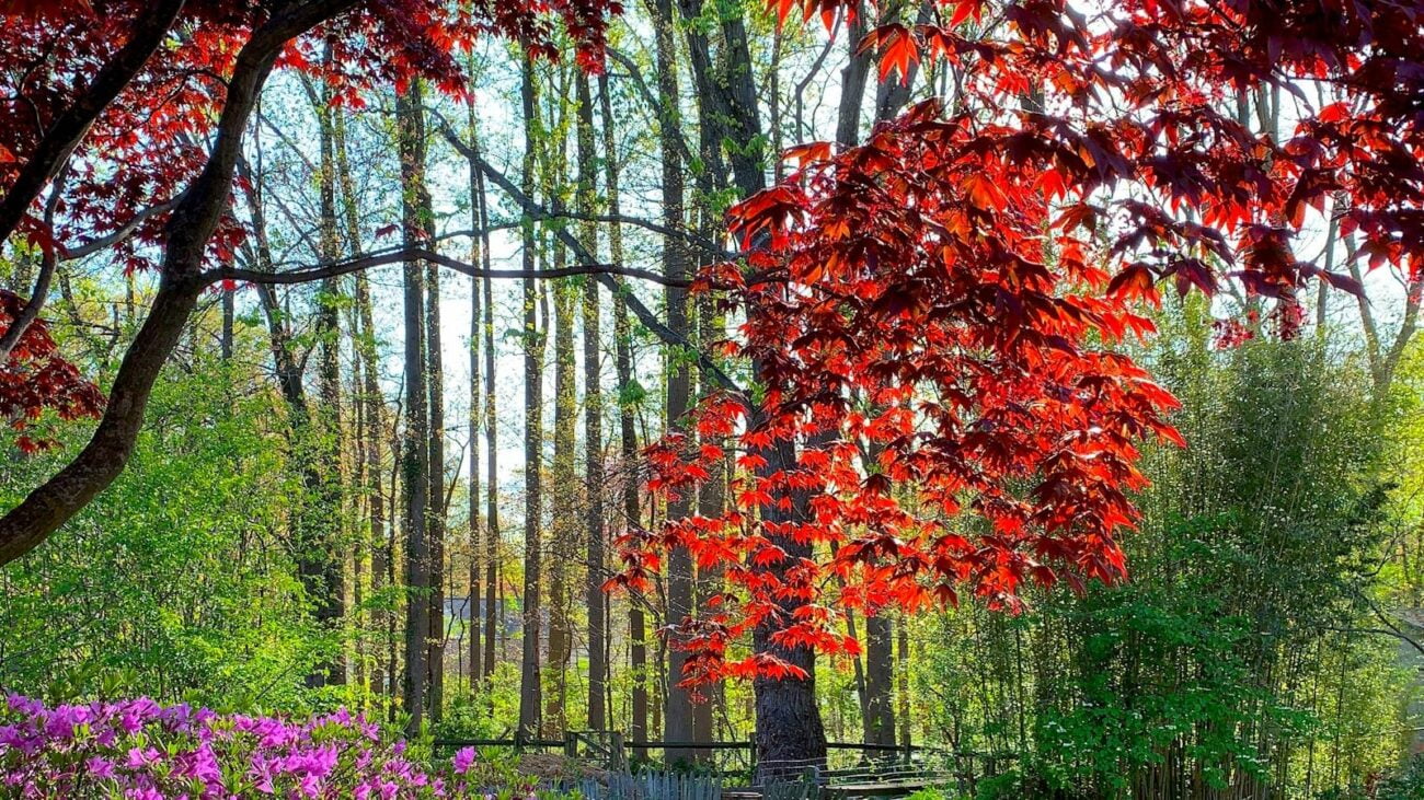 Hogar de Reposo La Florida Medellin: Vive con Plenitud y Cuidado Especializado