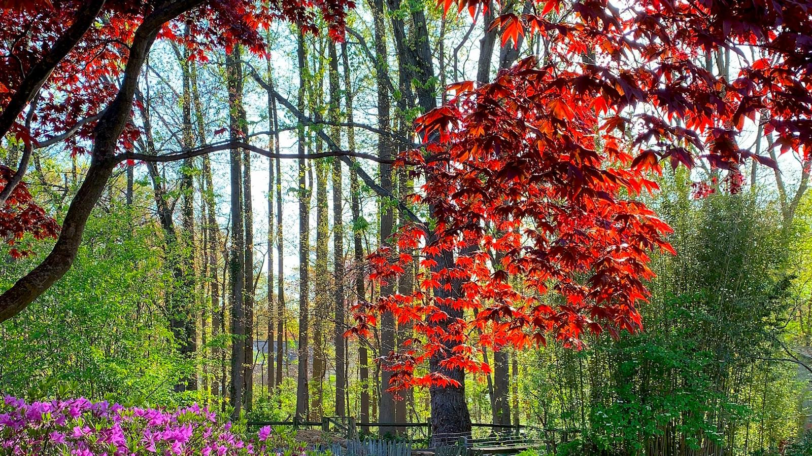 Hogar de Reposo La Florida Medellin: Vive con Plenitud y Cuidado Especializado