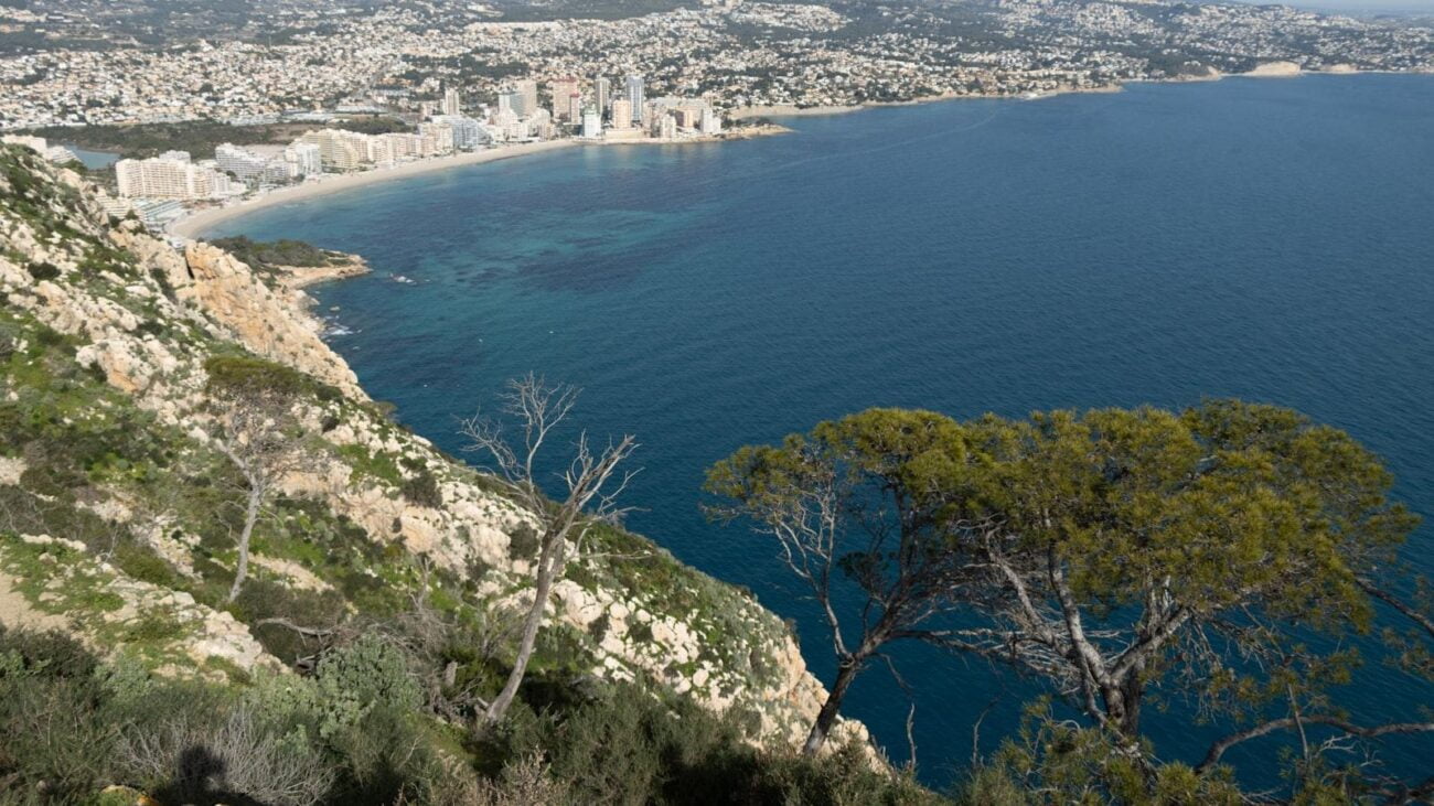 Entrenadora Personal Medellin: Profesionales Comprometidos con tu Salud y Bienestar