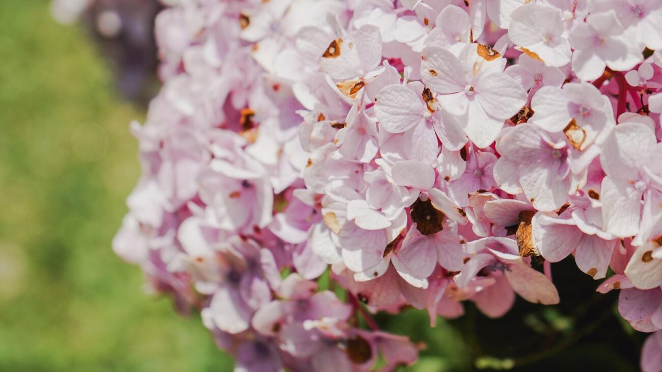 Hogar Geriatrico Laureles Medellin: Vive con Plenitud en un Entorno Cálido