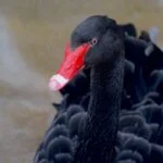 Casas de Paso en Medellin: Encuentra Tranquilidad y Cuidado Temporal