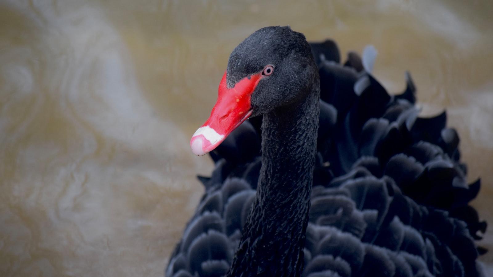 Casas de Paso en Medellin: Encuentra Tranquilidad y Cuidado Temporal