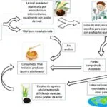Consulta Domiciliaria Psiquiatría Medellin: Atención Especializada y Comprometida