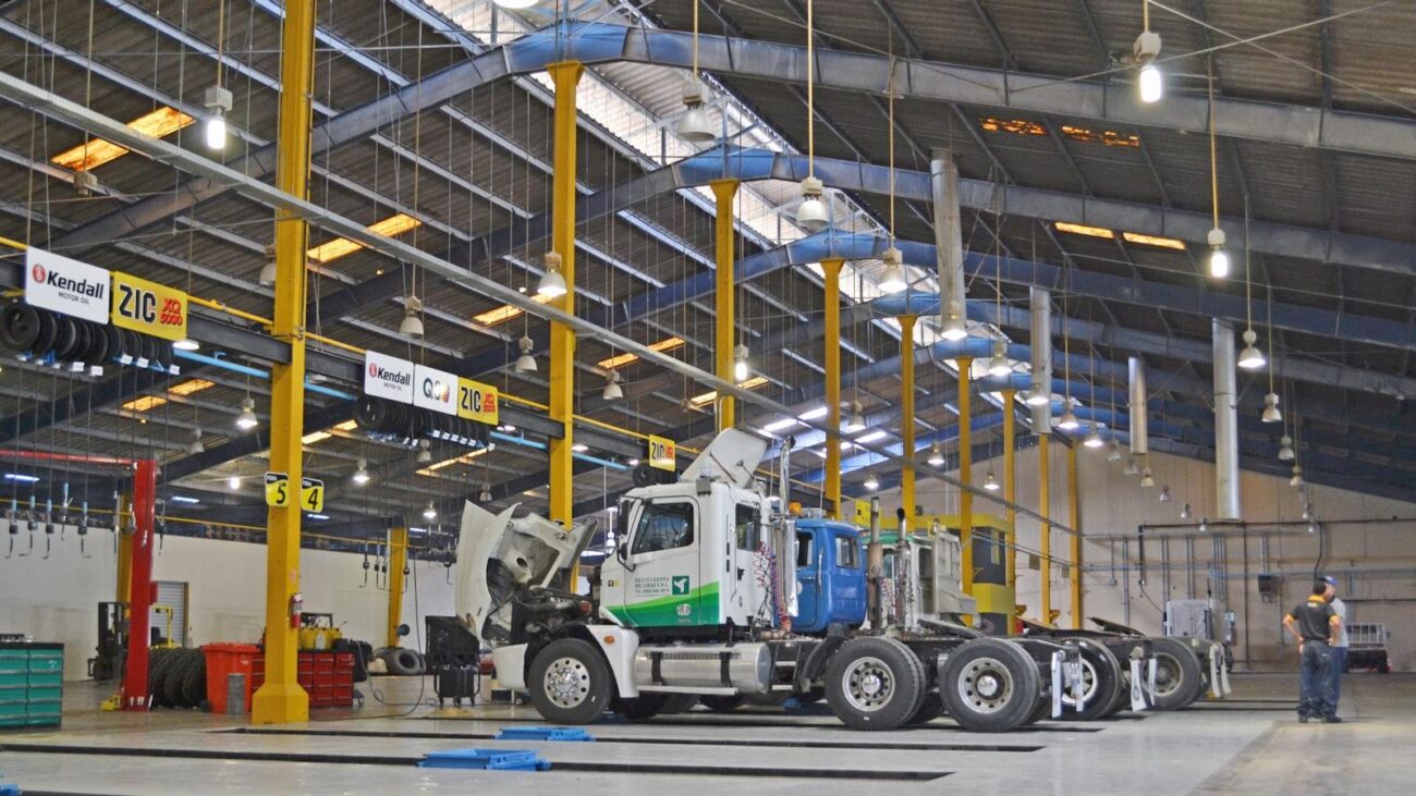 Hierbas Milagrosas: Remedios Naturales para el Corazón que Ofrecen los Hogares de Medellín