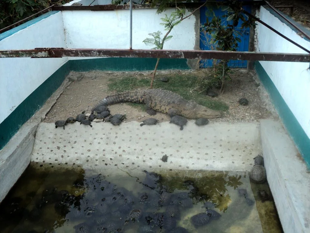 Manejo adecuado de la medicación