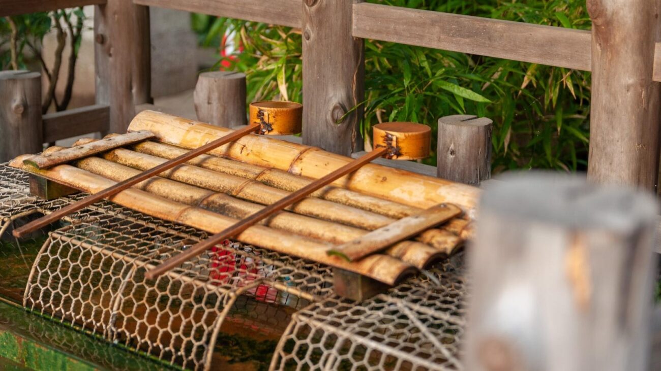 Bomboná Nº 1 Medellín: Descubre la Armonía entre la Experiencia de Vida y la Atención Geriátrica