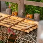 Bomboná Nº 1 Medellín: Descubre la Armonía entre la Experiencia de Vida y la Atención Geriátrica