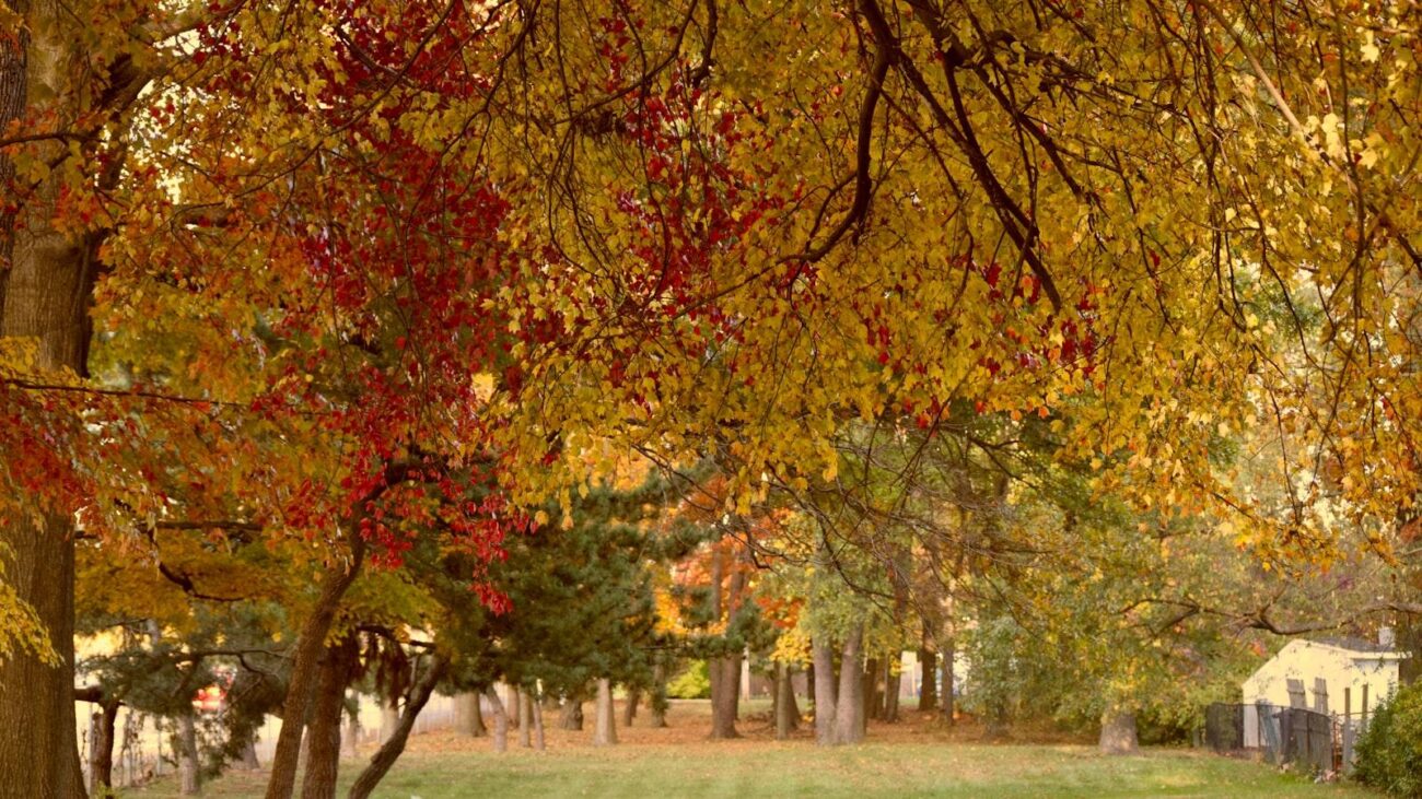 Rincones de Riqueza en Medellín: El Tesoro, Cuidado Geriátrico que Inspira Prosperidad