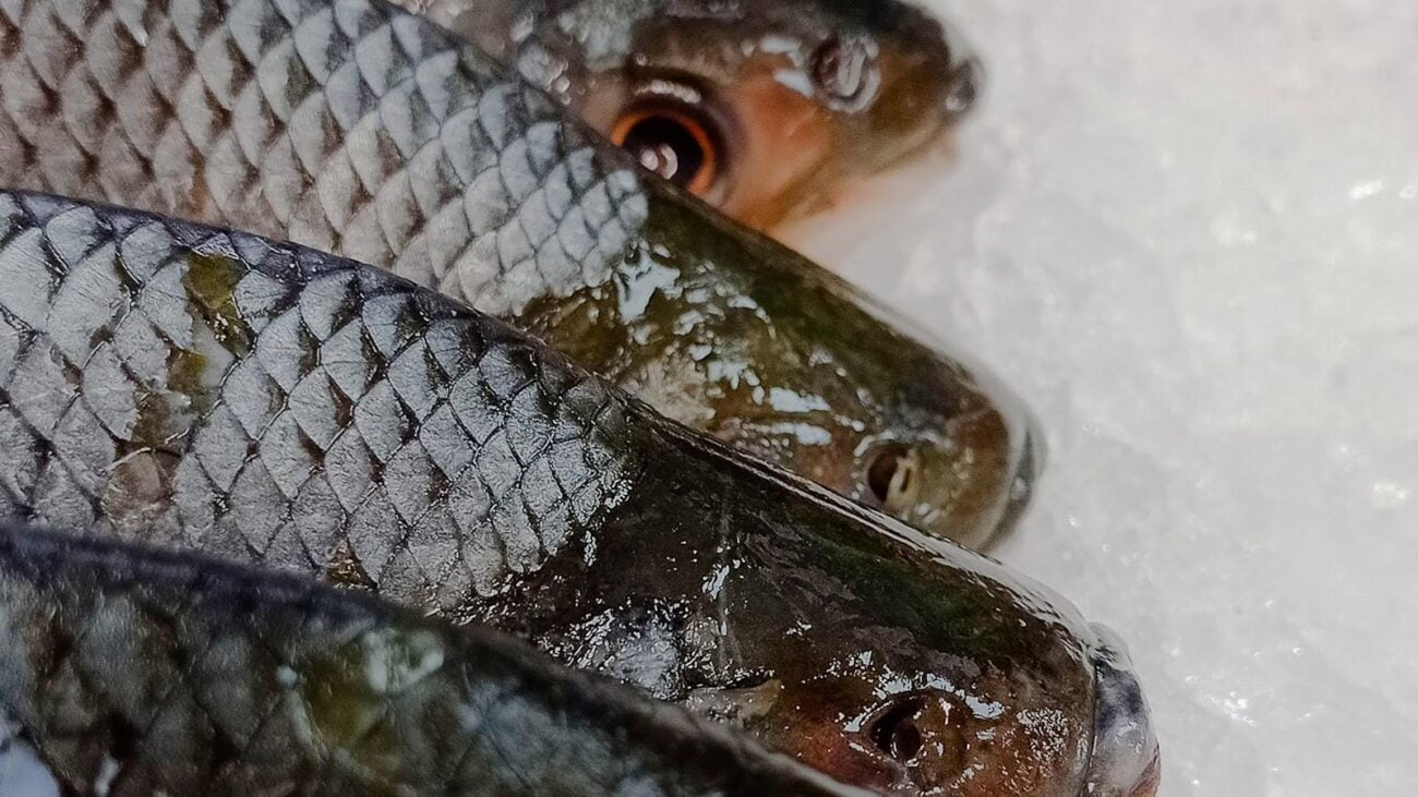 Viviendo con Plenitud en Medellín: El Tesoro, Hogar Geriátrico que Marca la Diferencia