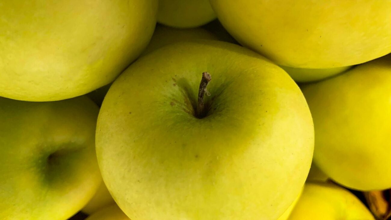 Ecos de Bienestar en Medellín: El Tesoro, Hogar Geriátrico que Transforma la Experiencia del Envejecimiento