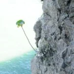 El Impacto Emocional de la Insuficiencia Cardíaca en Adultos Mayores y Cómo Manejarlo