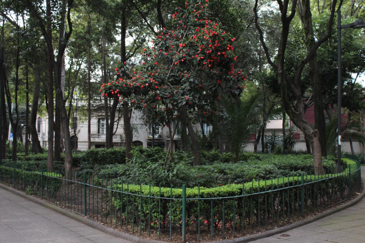 Intervenciones Nutricionales en Geriátricos para Mejorar la Salud Cardíaca