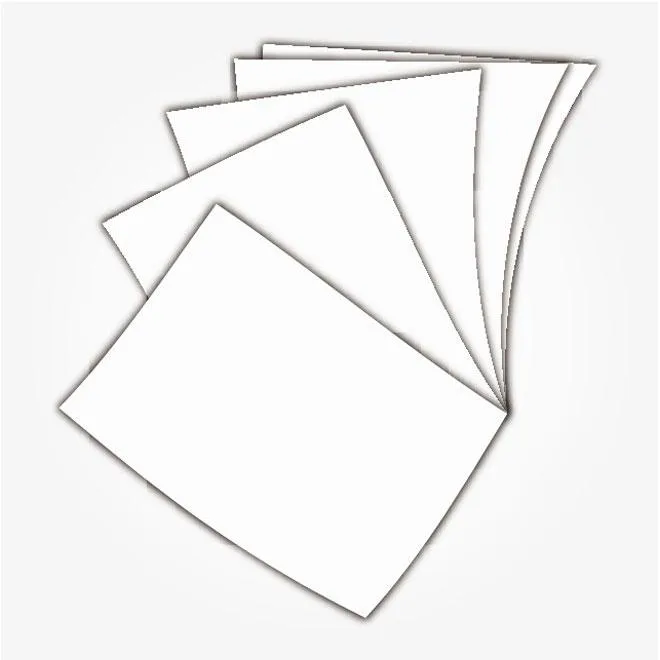 Revisión de Programas de Bienestar Cardíaco en Geriátricos de Medellín