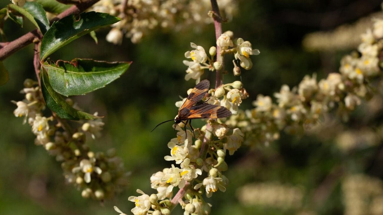 Relación Médico-Paciente en el Tratamiento de Insuficiencia Cardíaca en la Tercera Edad