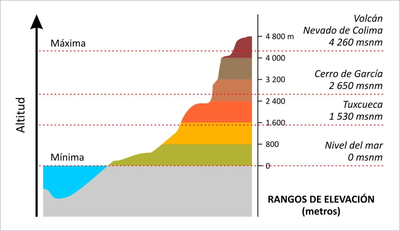 Comunidad y Apoyo: Hogares Geriátricos como Red de Cuidado para el Corazón