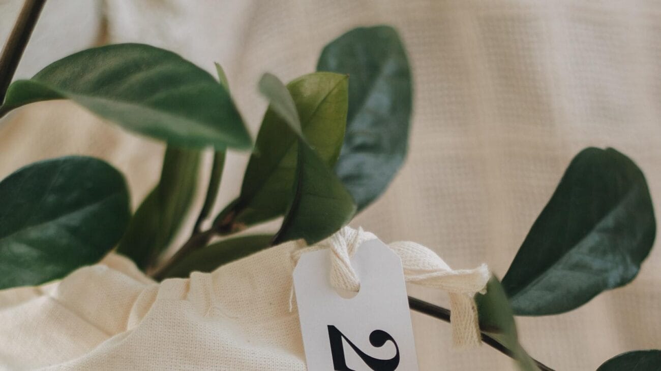 Herramientas Innovadoras para el Manejo de la Insuficiencia Cardíaca en Ancianos