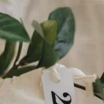Herramientas Innovadoras para el Manejo de la Insuficiencia Cardíaca en Ancianos