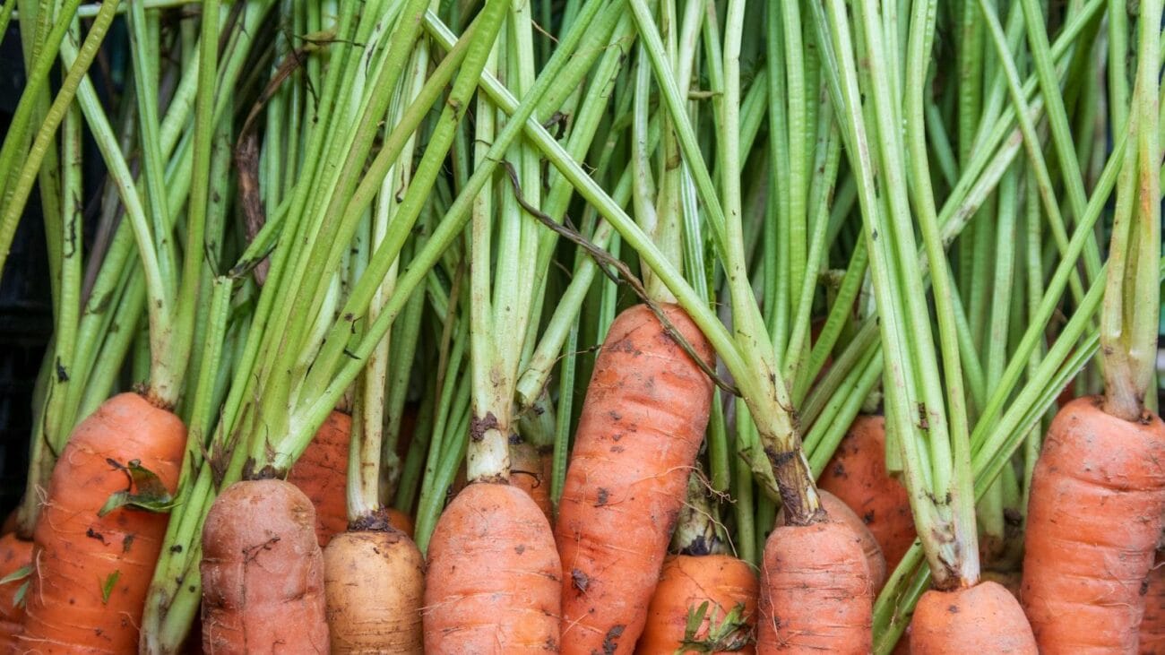 Reseña: Los Avances en el Tratamiento de la Insuficiencia Cardíaca en la Tercera Edad